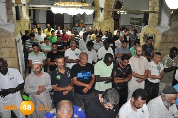 trawe7 7san bek 715 (14).JPG